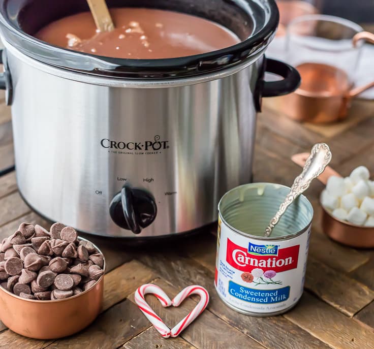 slow-cooker-peppermint-hot-chocolate-2-of-9